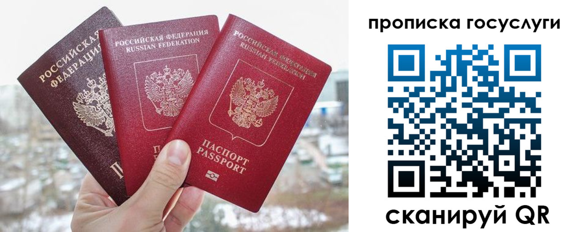 прописка законно в Щёкино